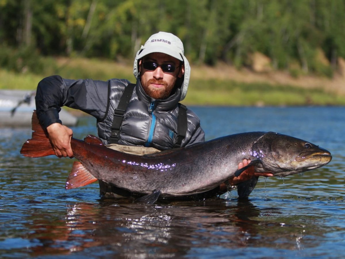 Таймень рыба