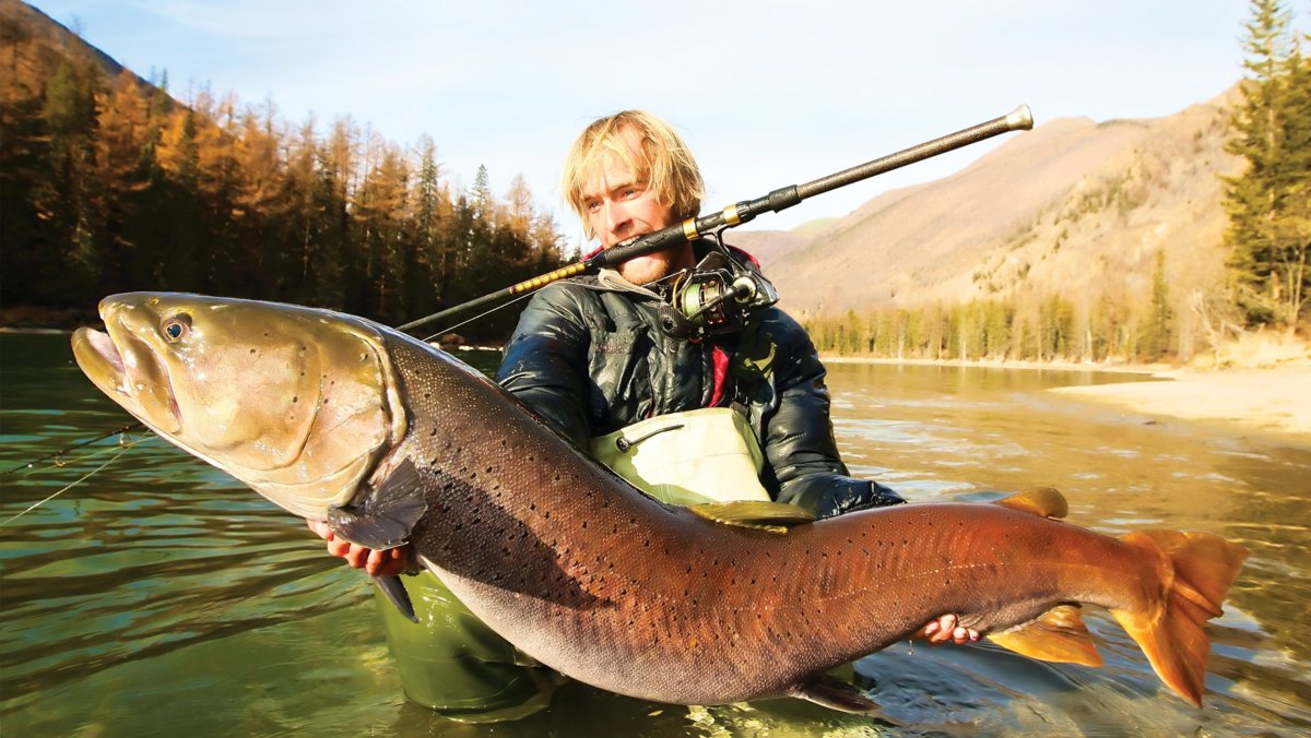 Таймень Дальневосточный