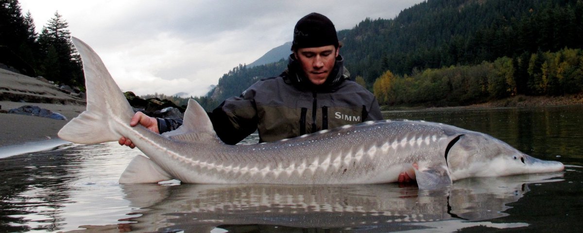 Таймень Байкальский
