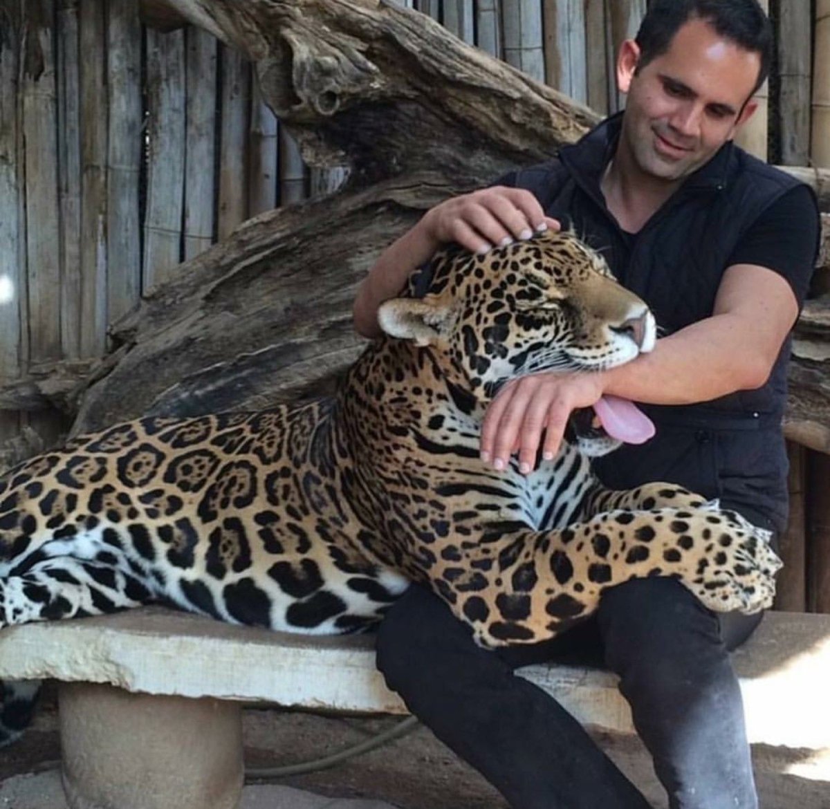 Shaaz Jung черная пантера