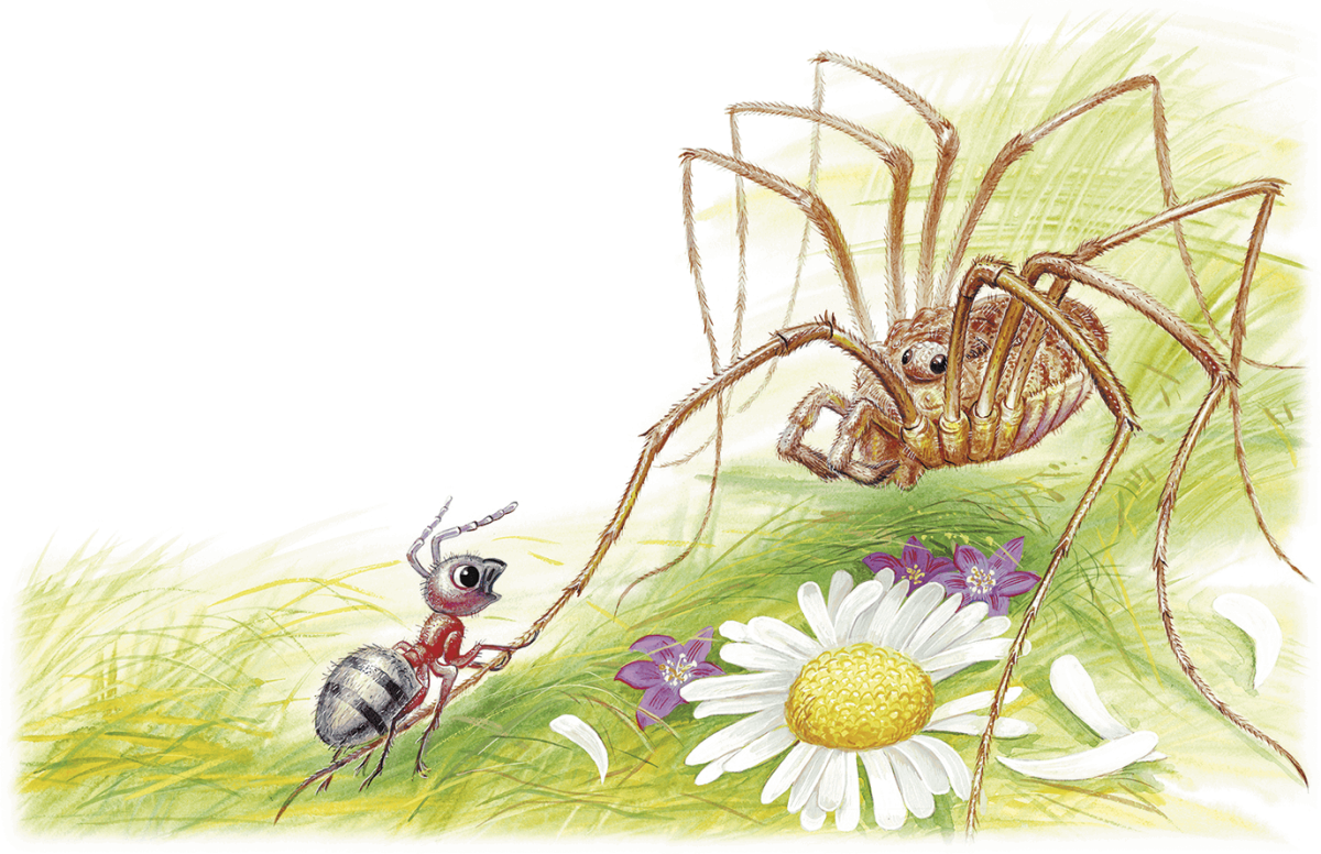 Виталий Бианки приключения муравьишки