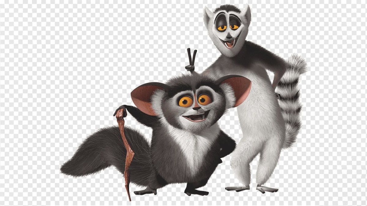 Лемур мадагаскарский Король