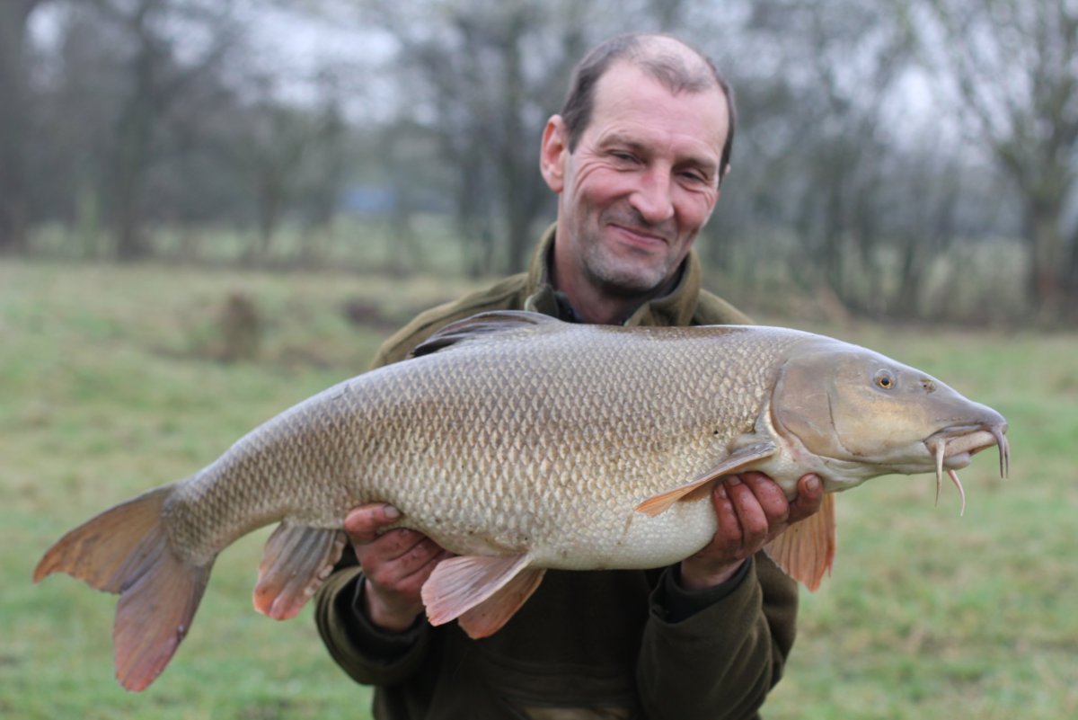 Рыба Марена усач