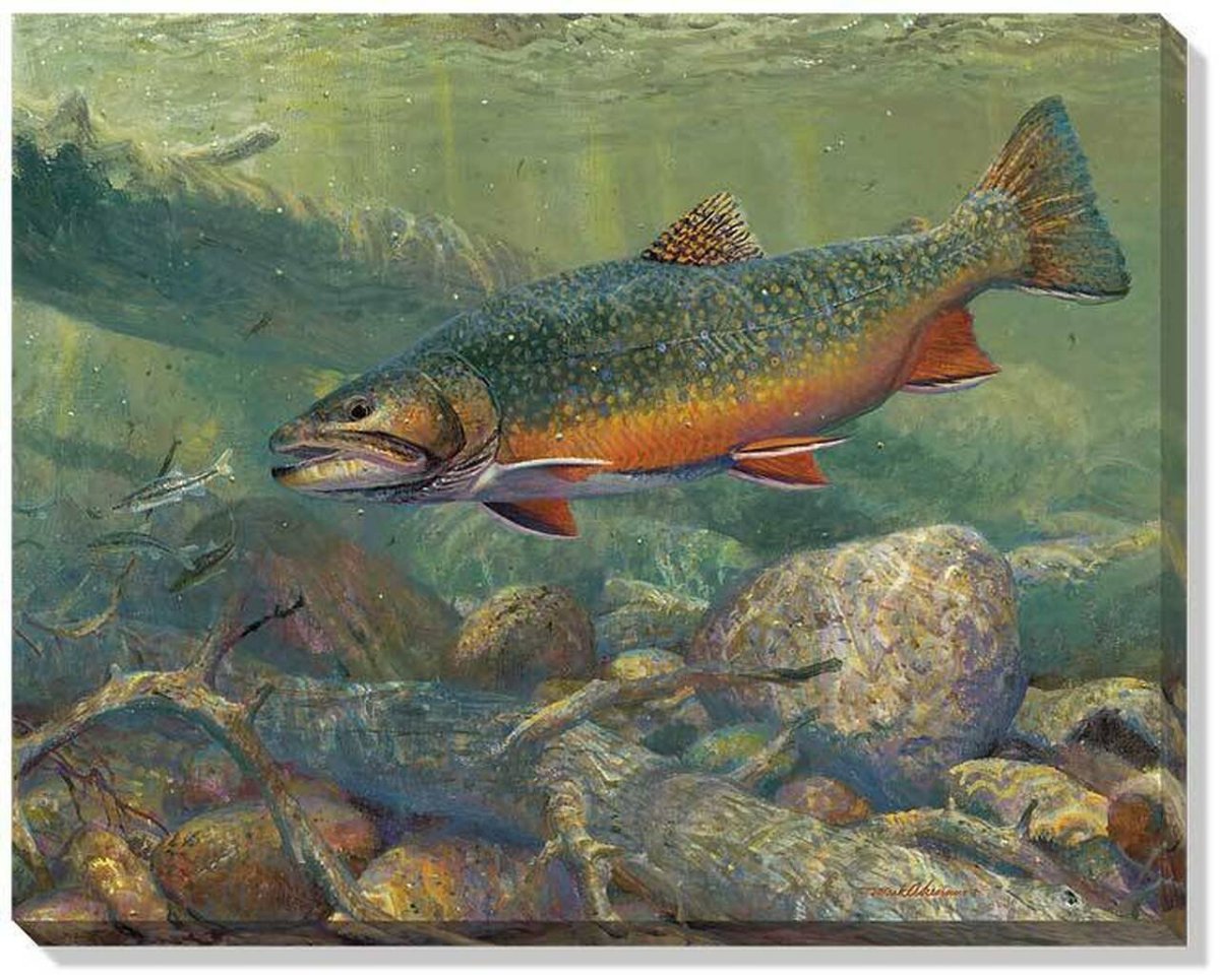 Рыба вектор