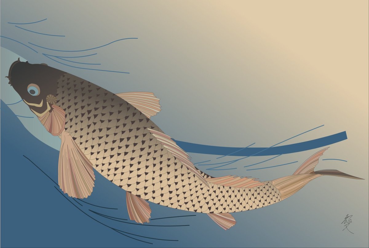 Наброски рыб