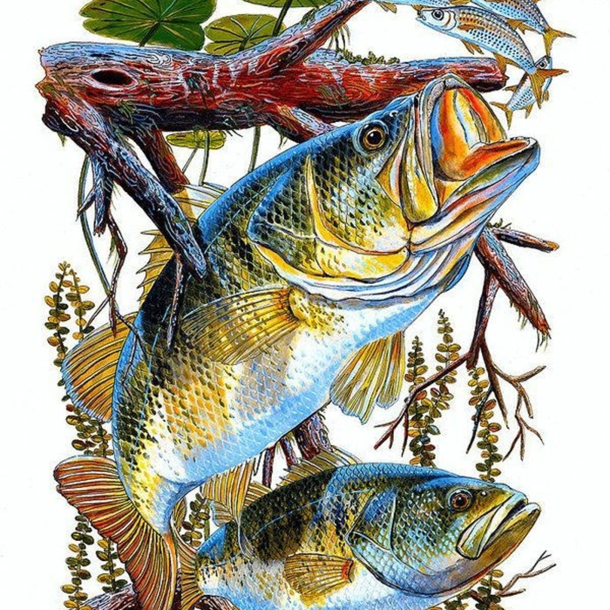 Винтажные рыбки