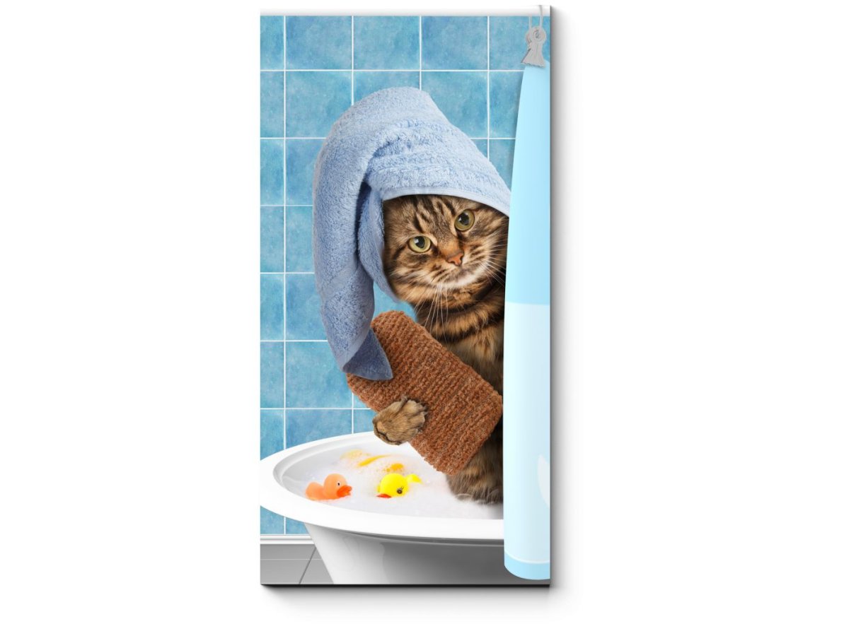 Котик в ванне в шапочке