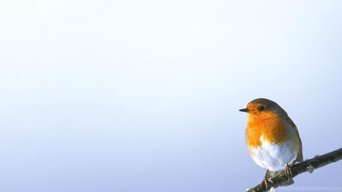 Малиновка для рабочего стола