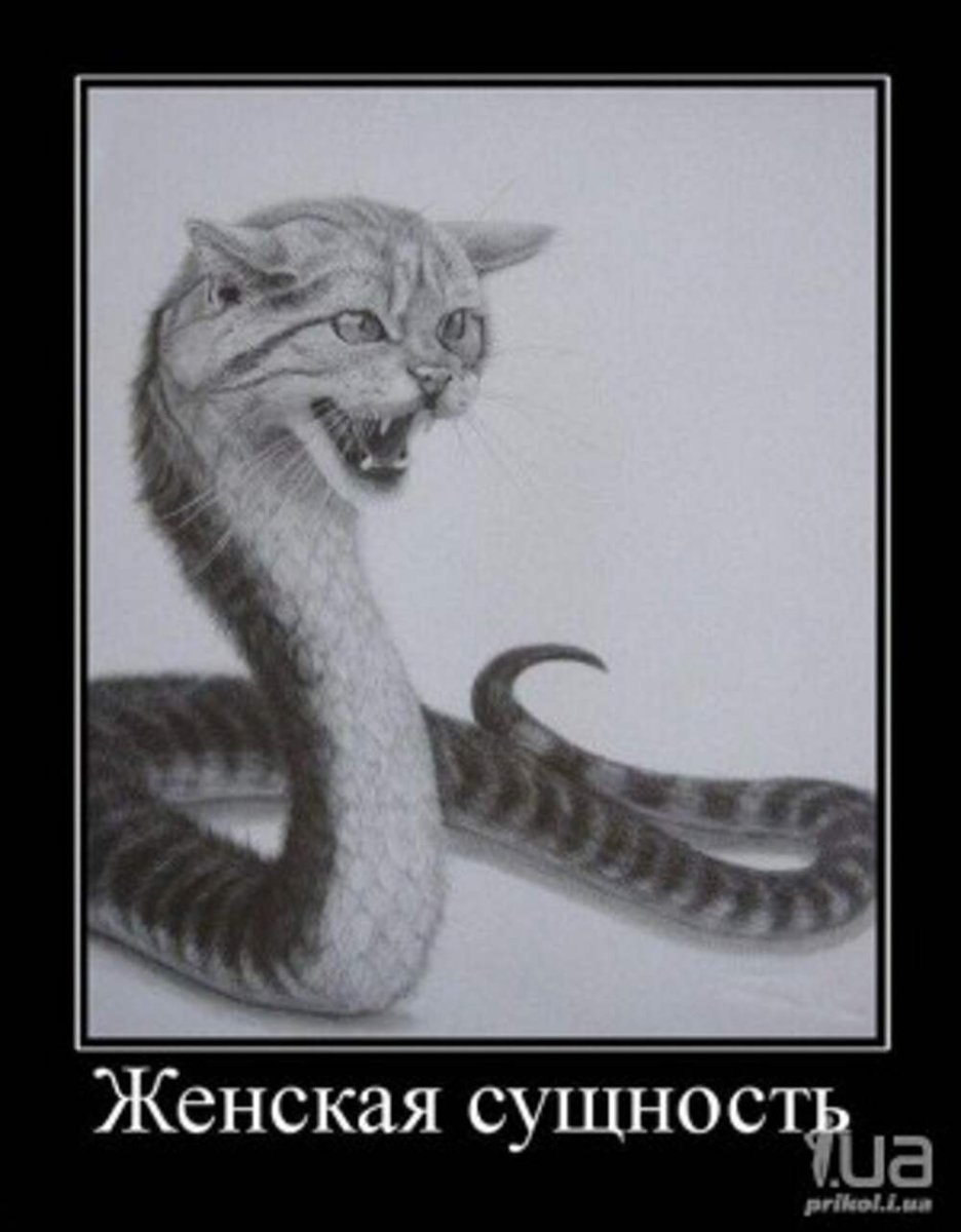 Кристина Хесс (Christina Hess)