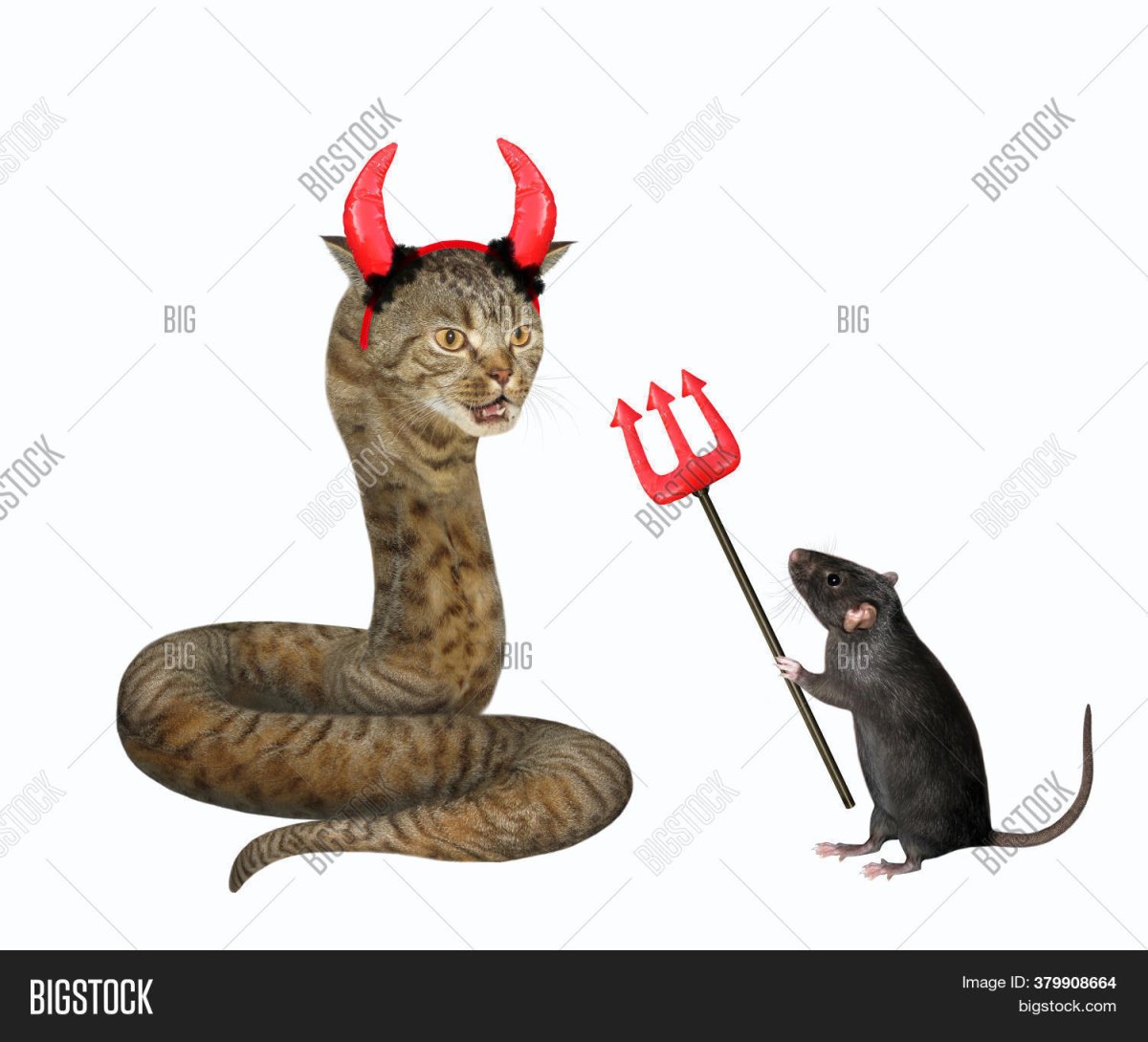 Мангуст против королевской кобры