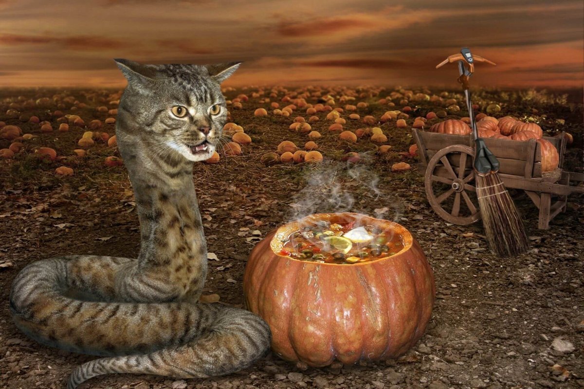 Черная змея и роза