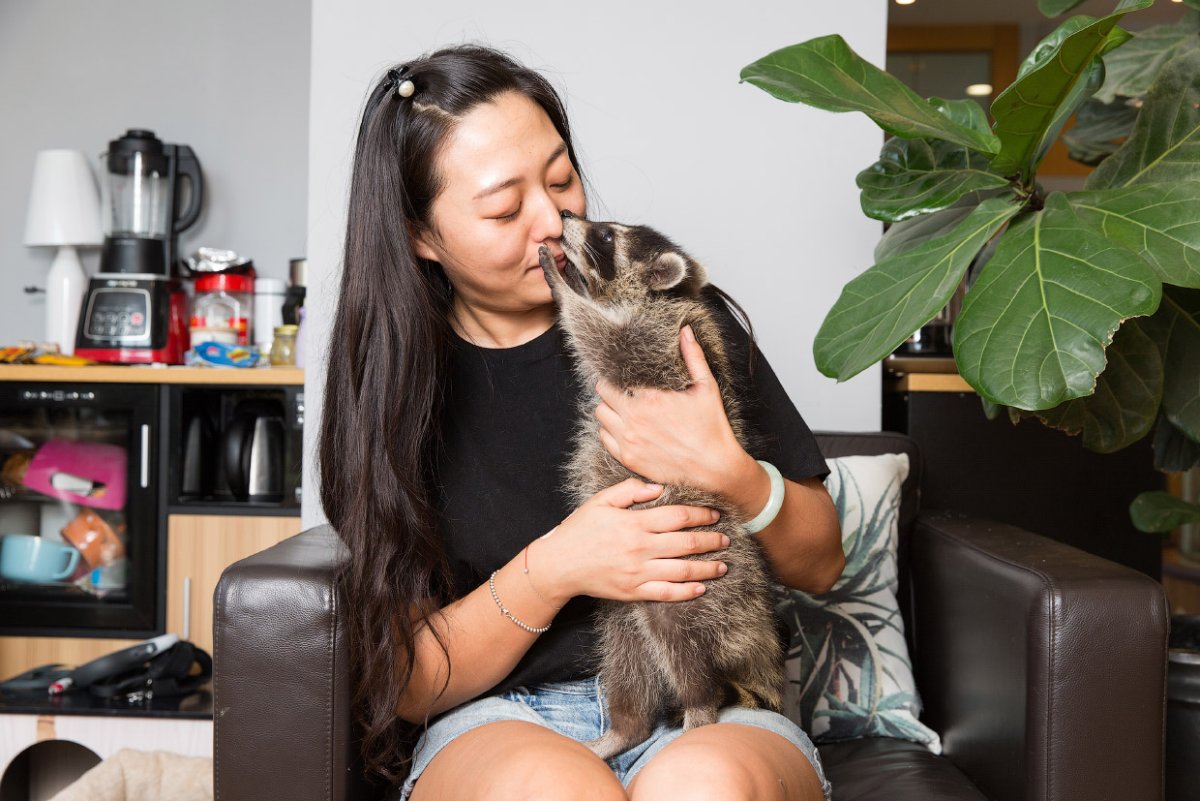 Мадагаскарский карликовый Бегемот вымершие