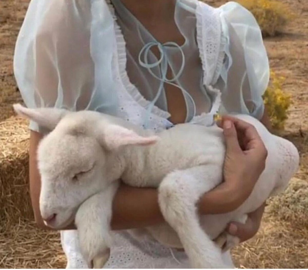 Коза стилизация