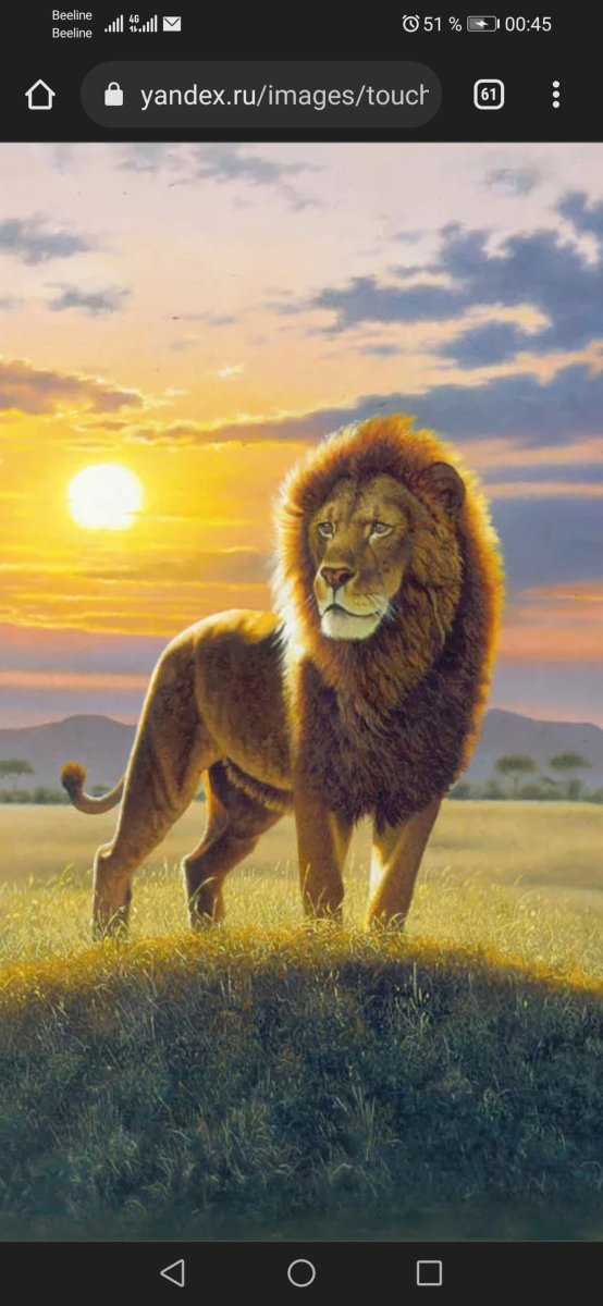 Пейзажи со львами