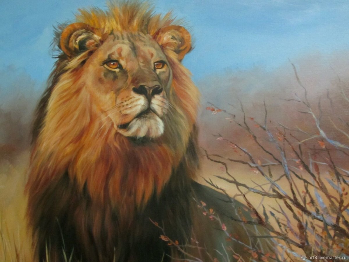 Лев на фоне заката