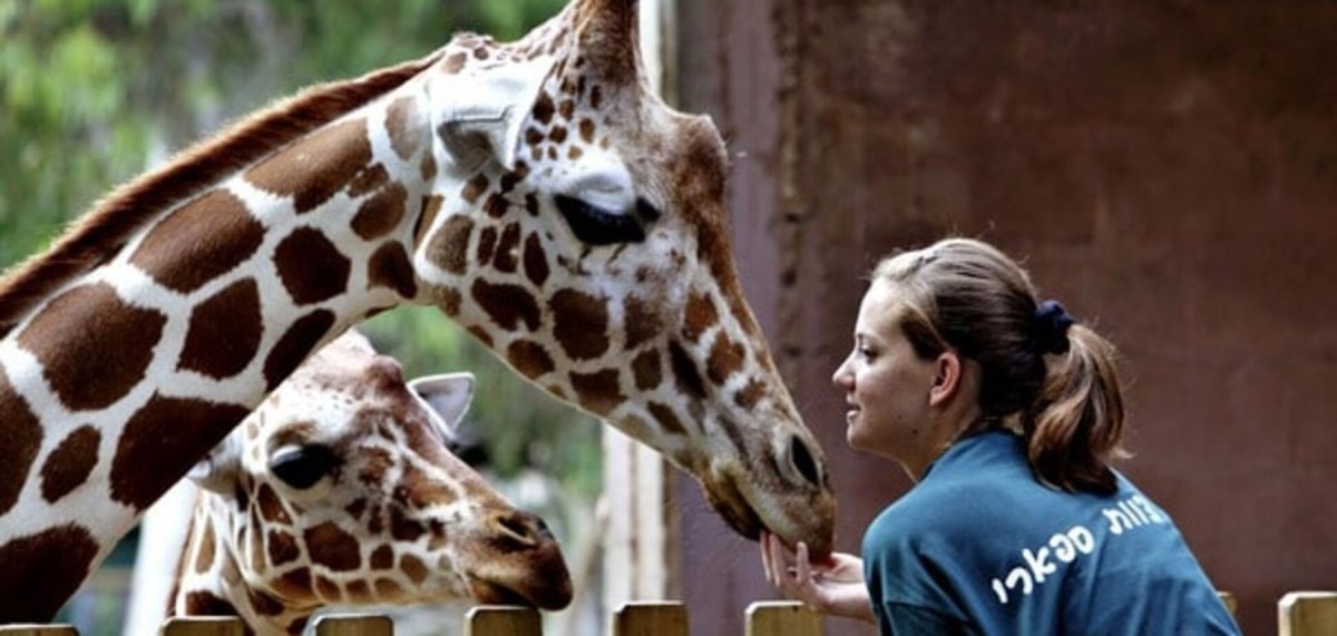 Самый крутой зоопарк в мире