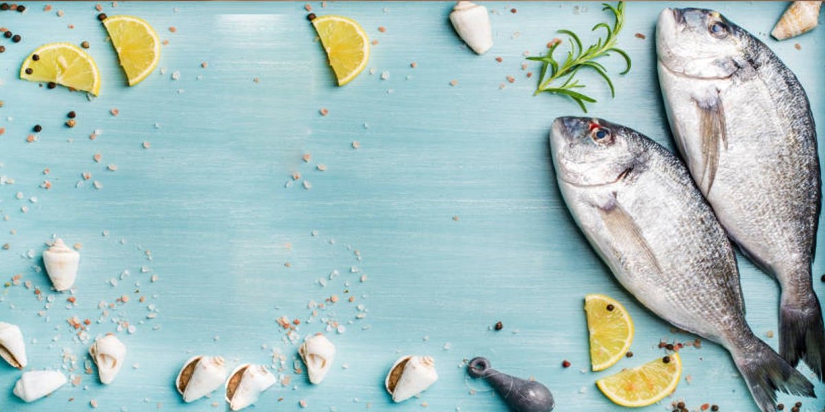 Карпообразные сазан