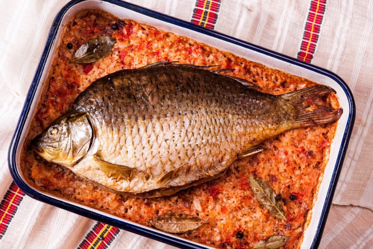 Шаран болгарская рыба