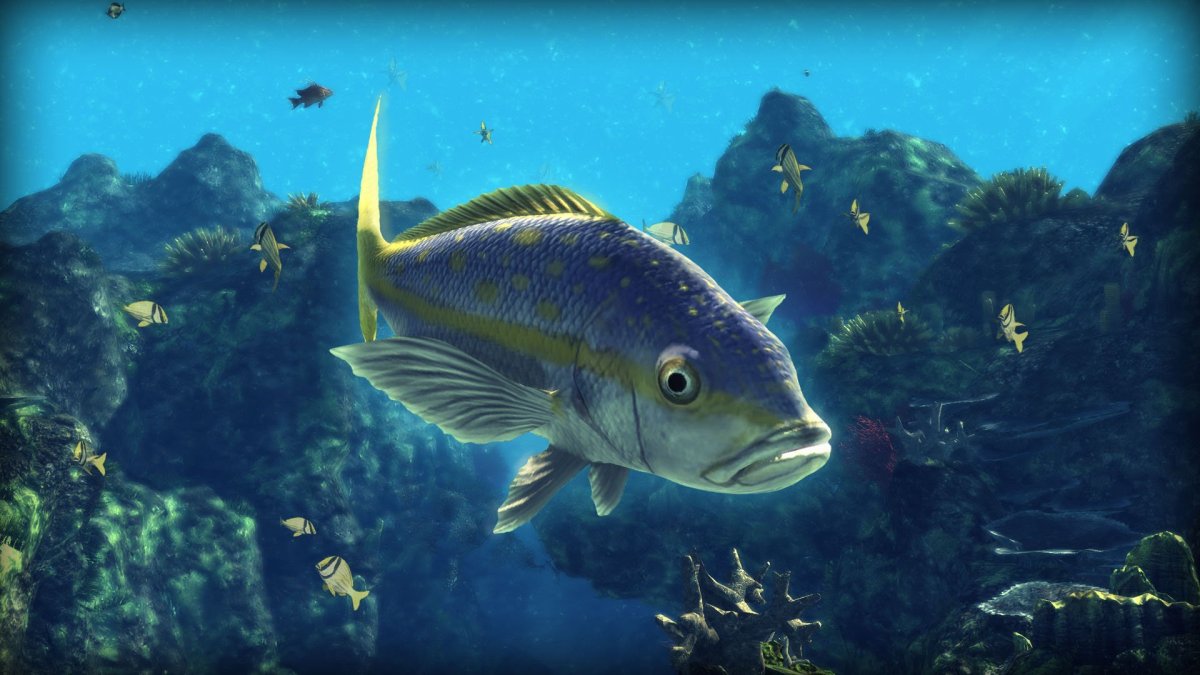 Весёлые рыбки