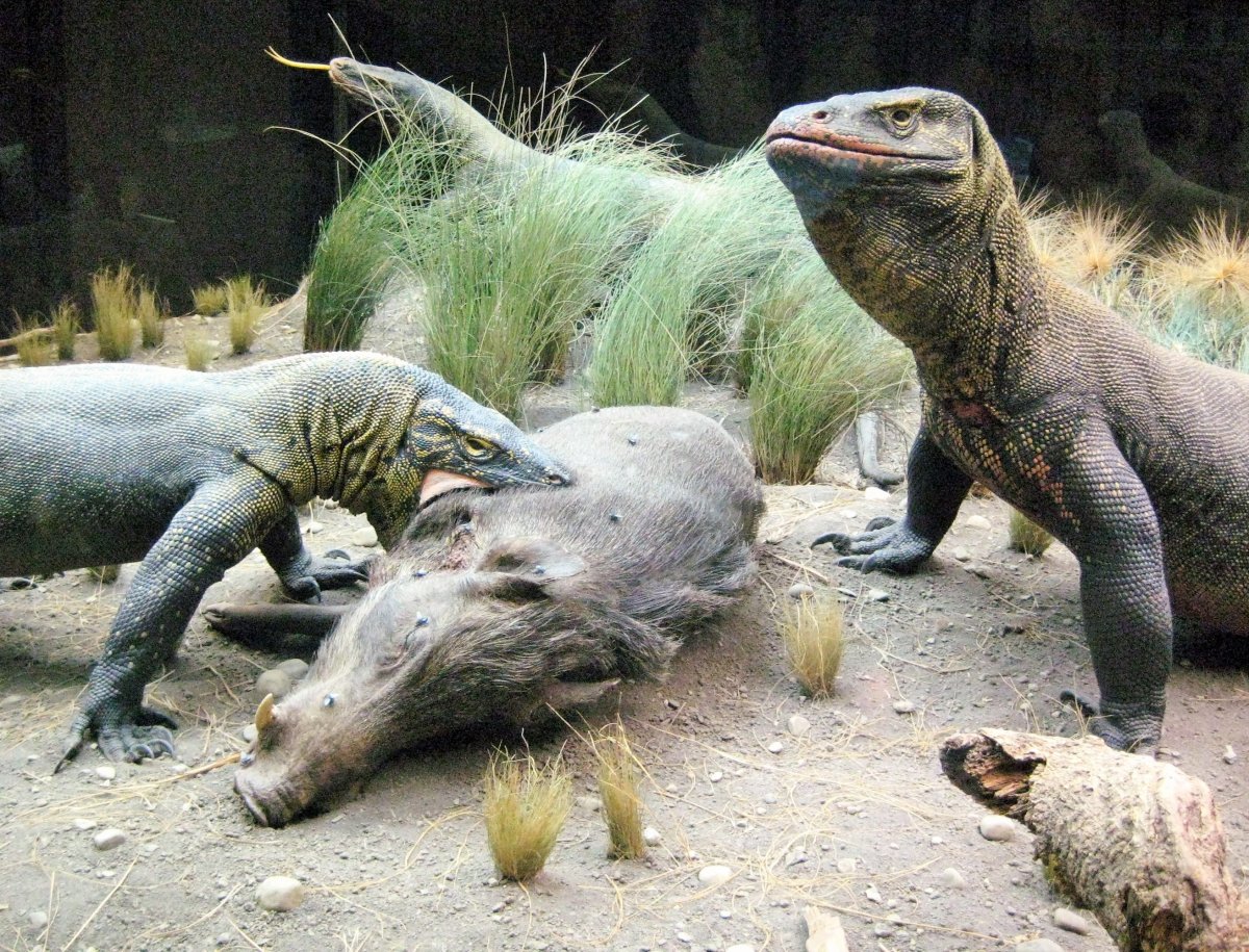 Парк Люмпини Бангкок вараны