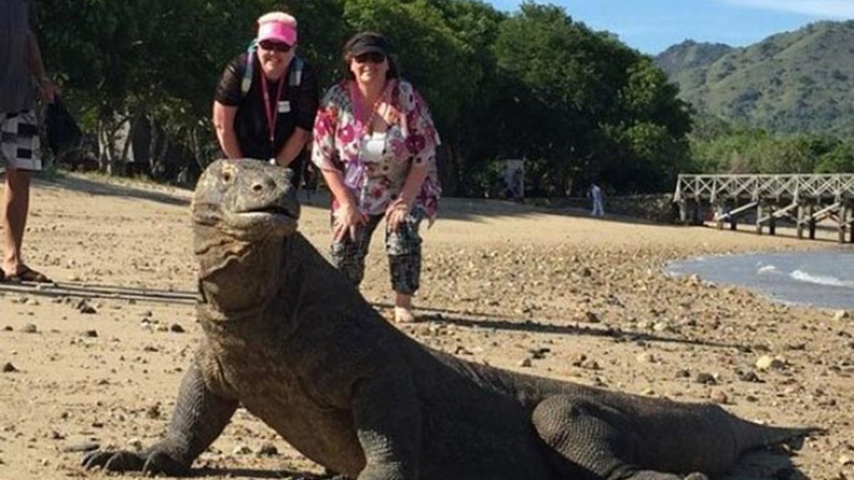 Вараны острова Комодо с человеком