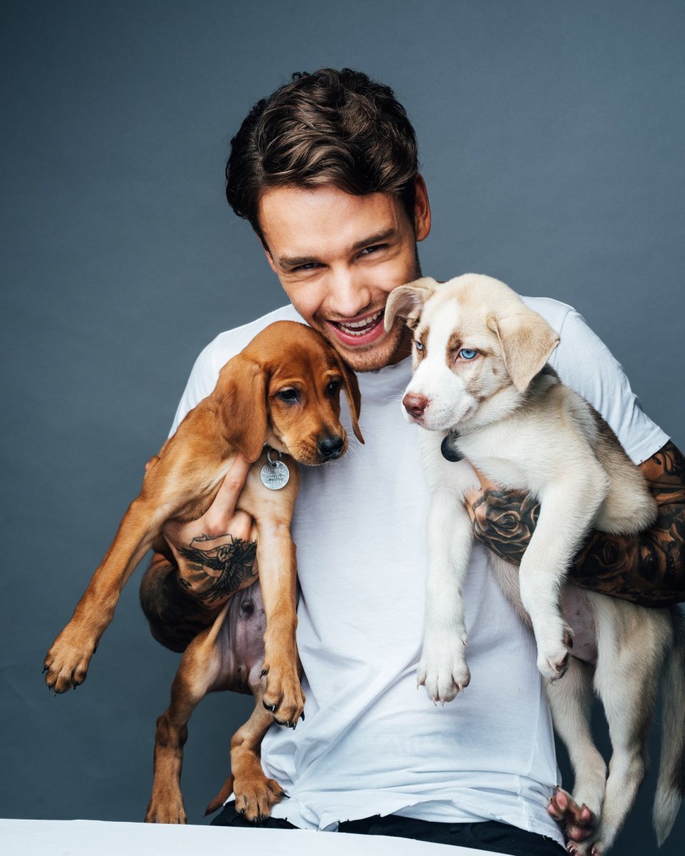 Лиам Пейн с собакой