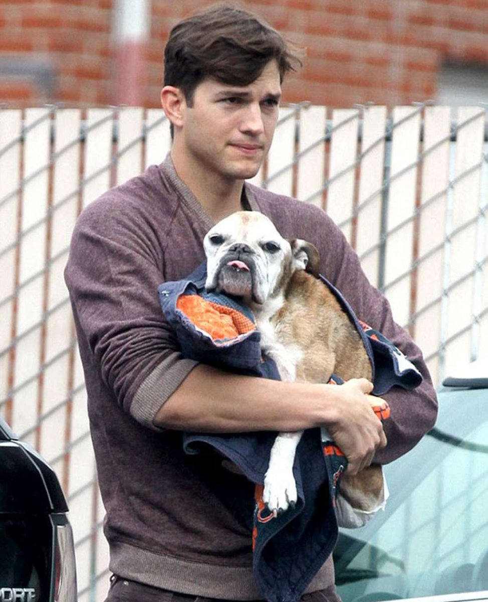 Джейк Джилленхол с щенками