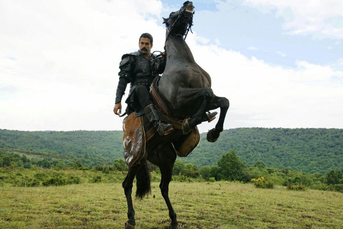 Всадник на коне