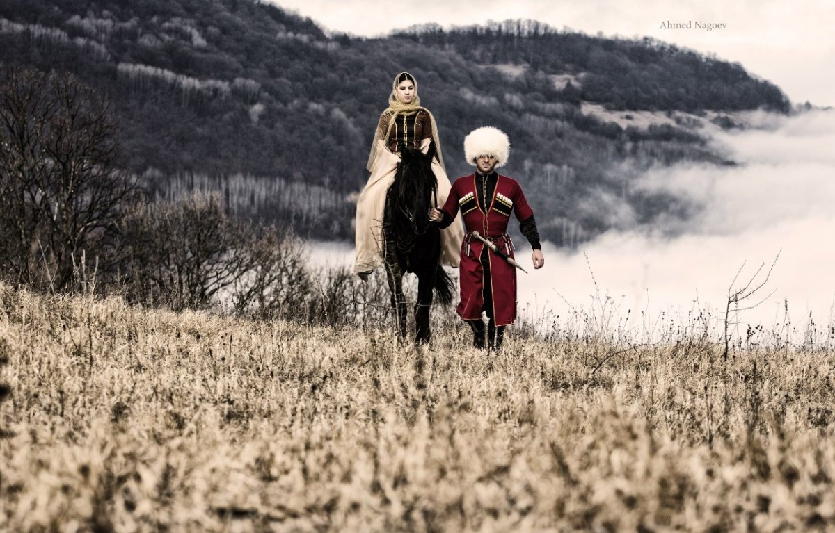 Лошади на фоне гор