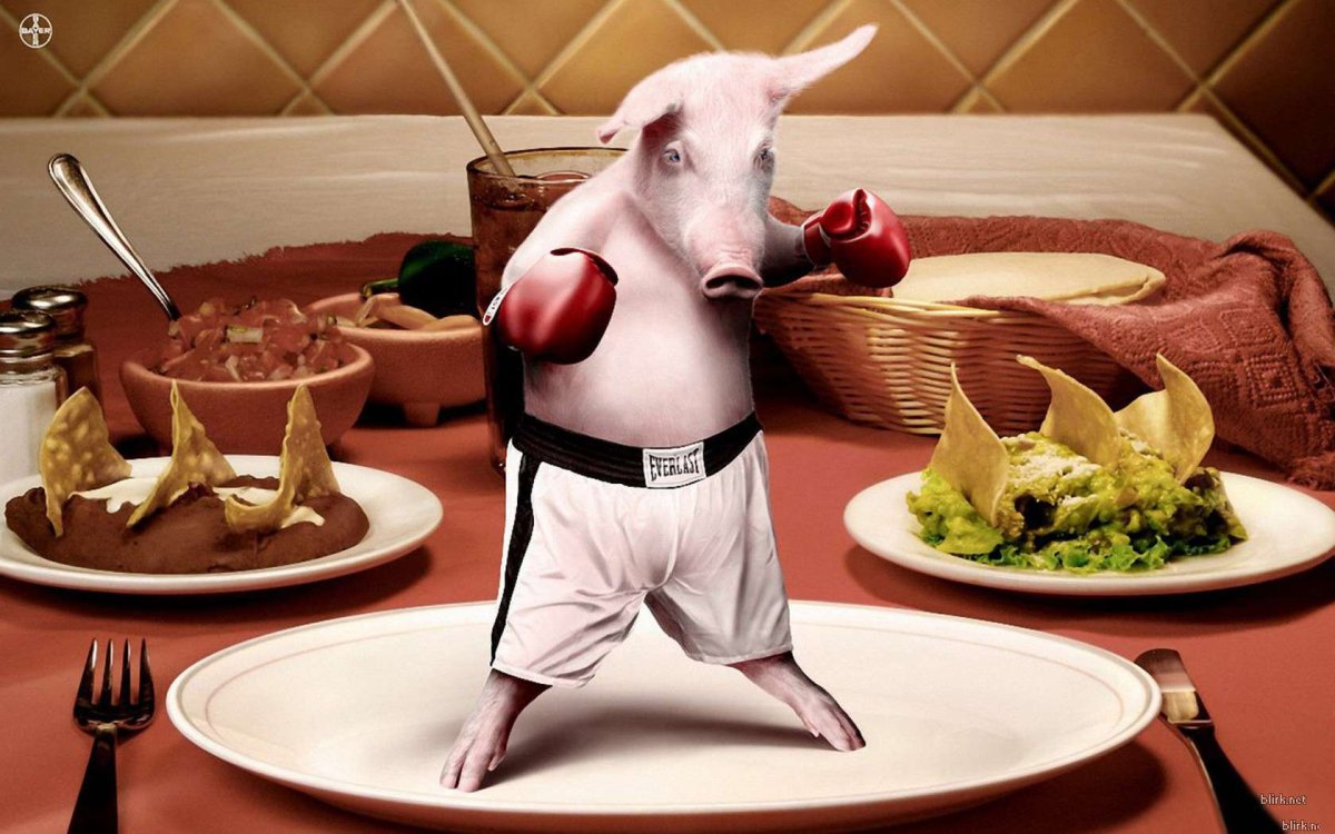 Поросенок в юбочке