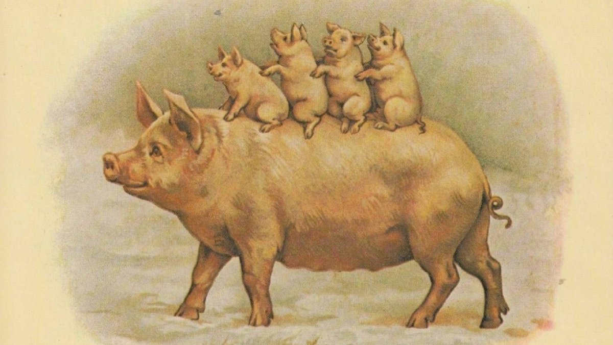 Свинья с поросятами