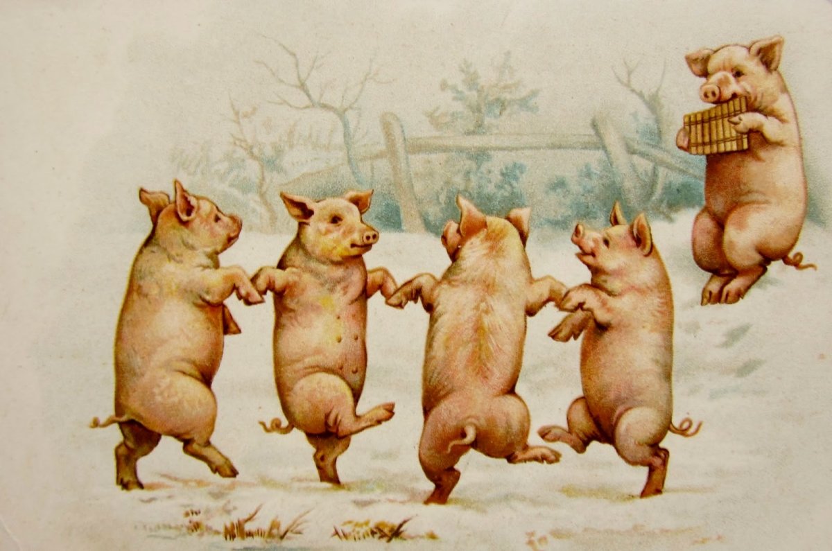 Танцующие свинки