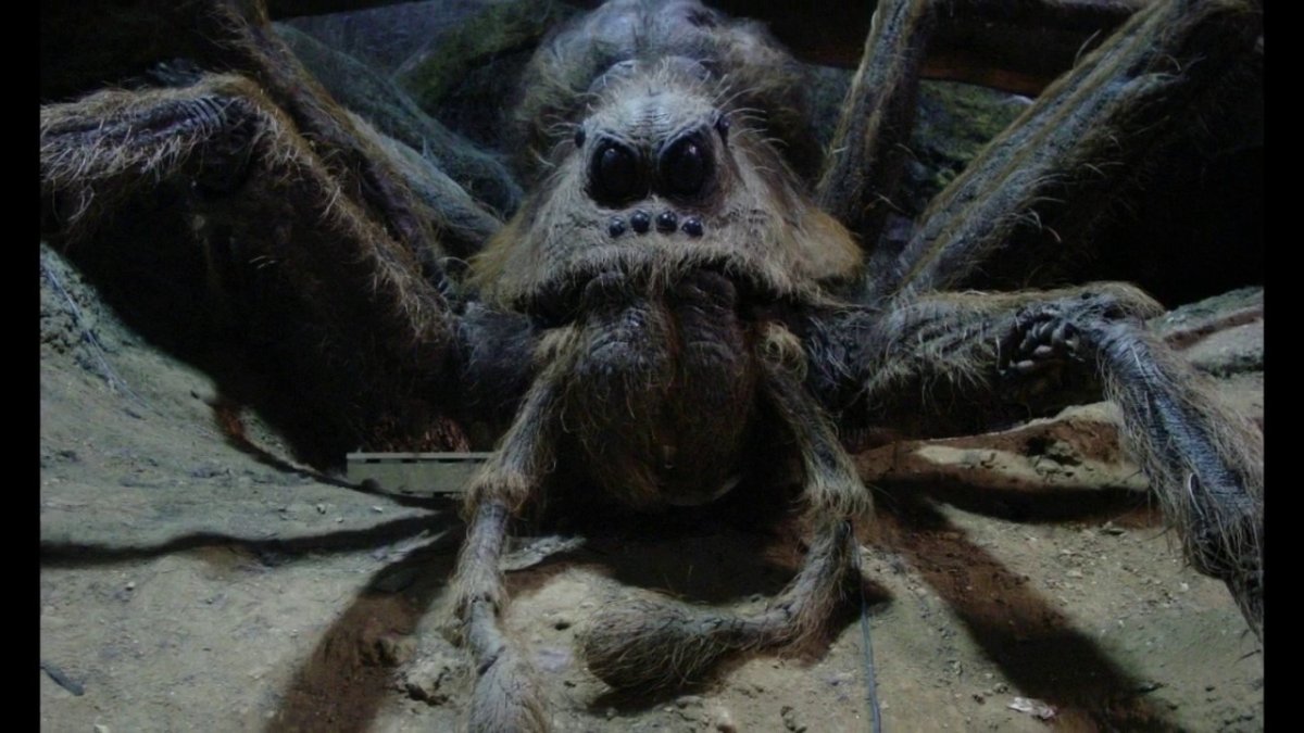 Голиафский птицеед