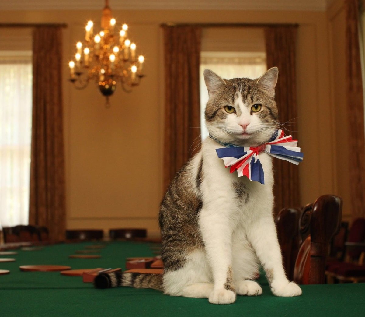 Королевский мышелов