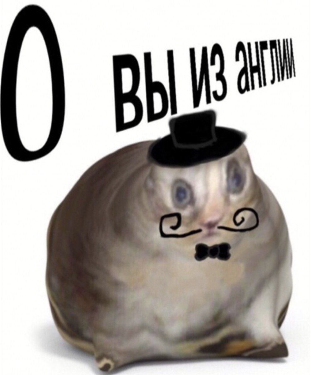 Pet английский язык