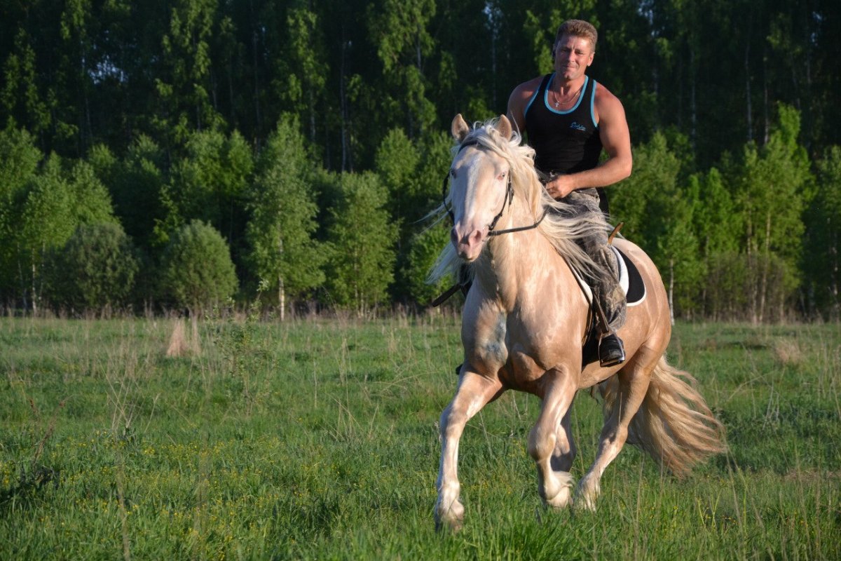 Белый конь летом
