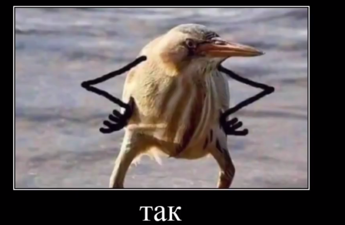 УГАРНЫЙ Гусь