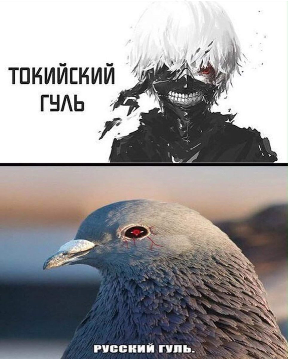 Голубь Георгий