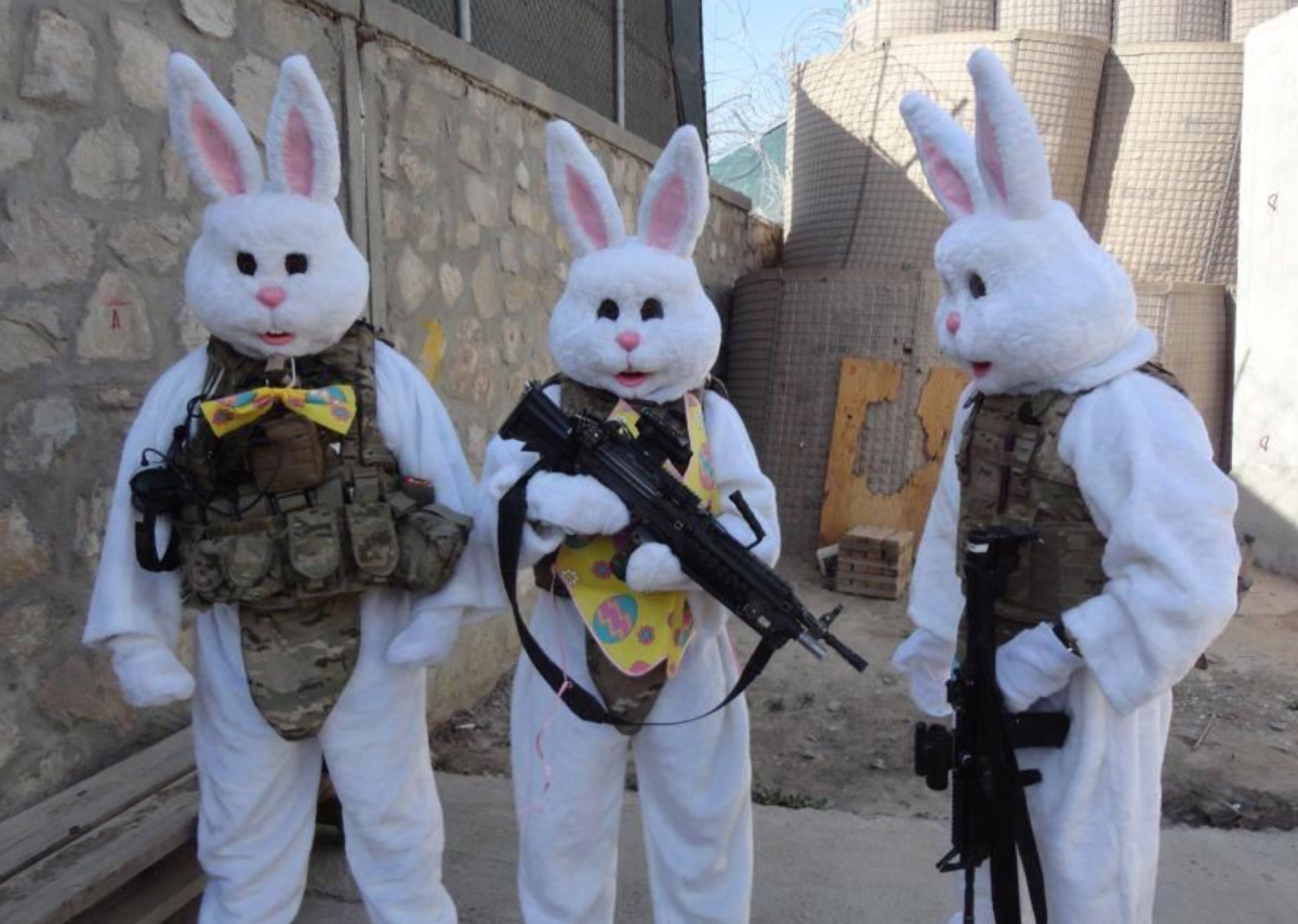 Боевой заяц