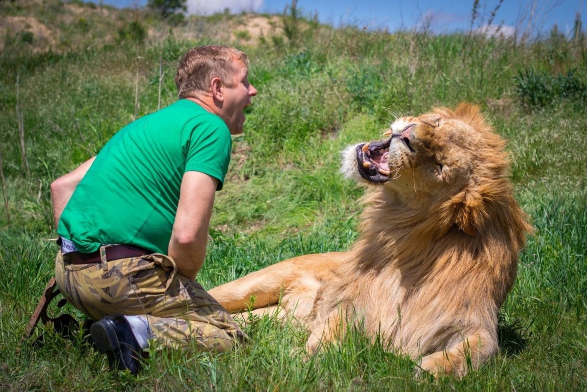 Волонтеры в сафари