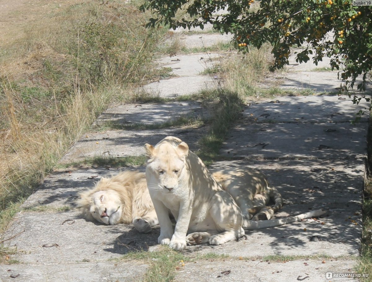Парк Тайган Военная база
