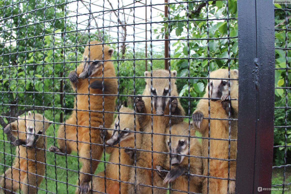 Парк Тайган Крым Олег Зубков