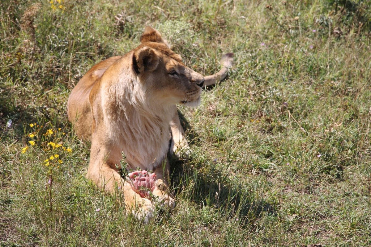 Олег Зубков на фоне природы Крыма видео