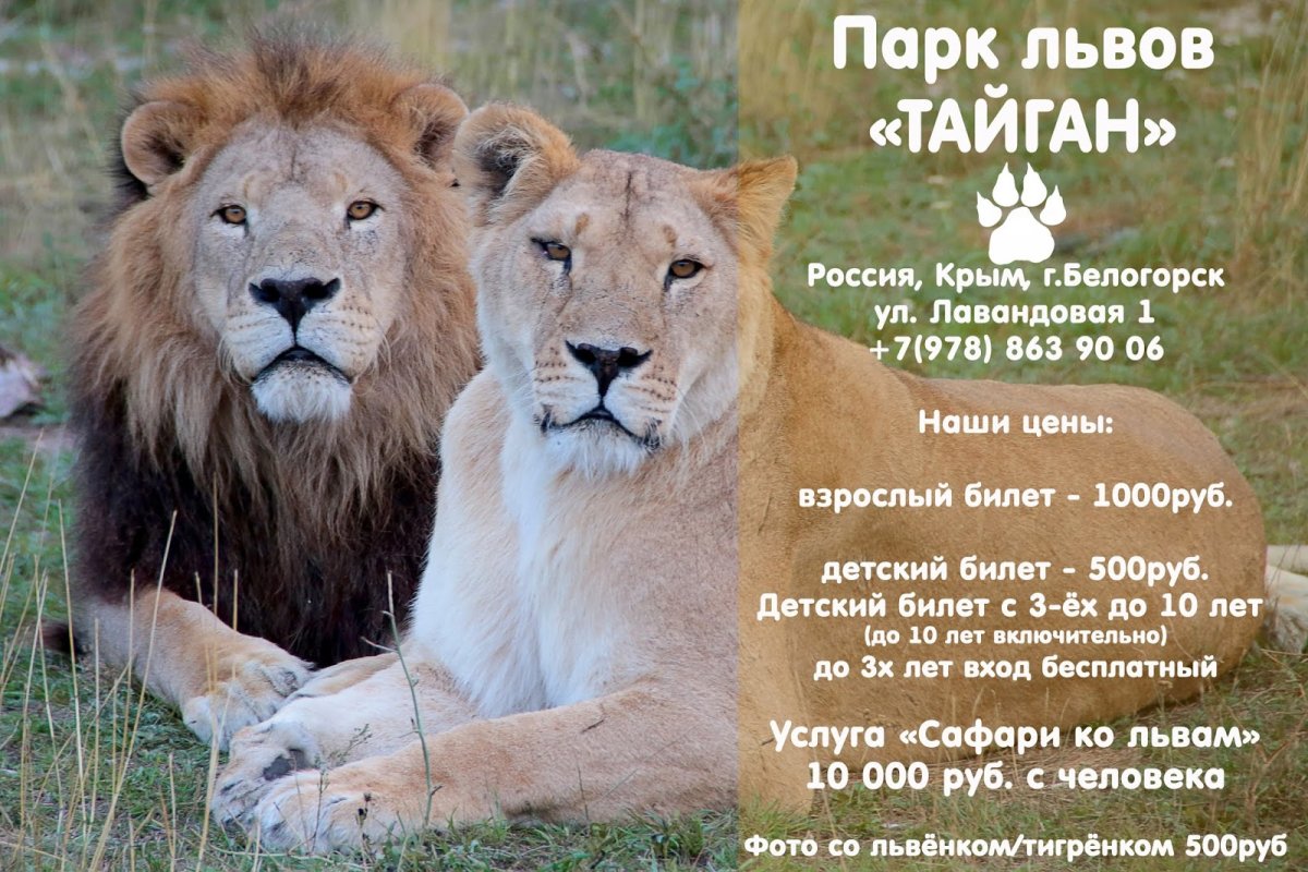 Тайган сафари парк Львов