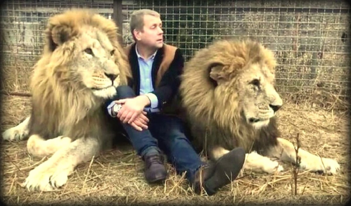 Парк Тайган Крым карта парка