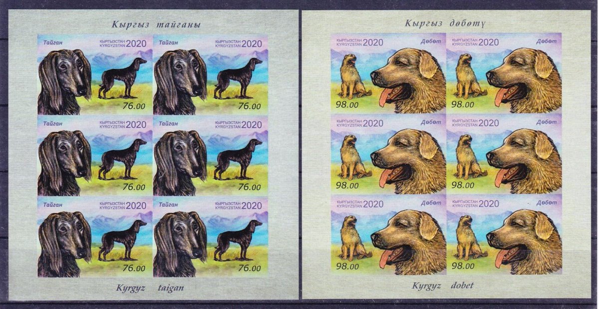 Львица Тайган