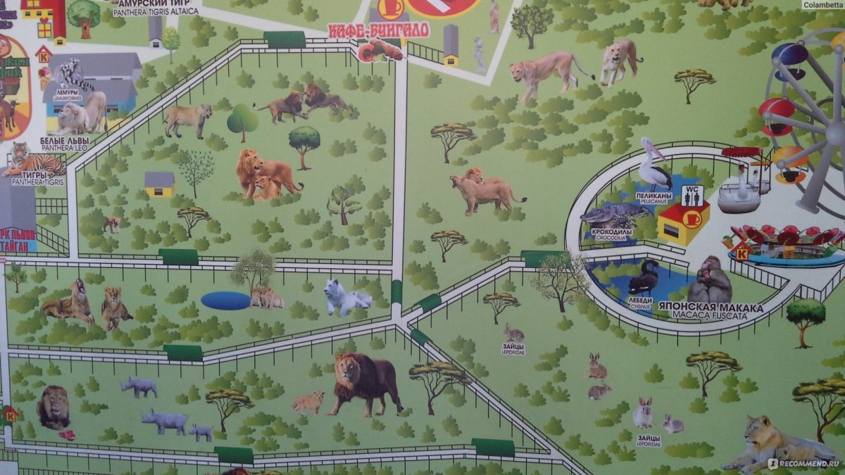 Белогорский парк Тайган Крым белая гора