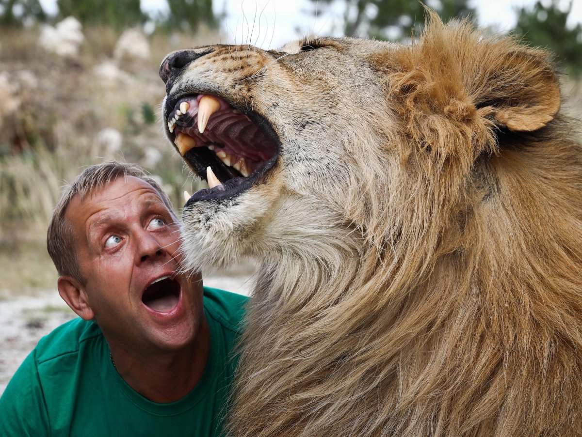 Сафари парк Олега Зубкова Тайган