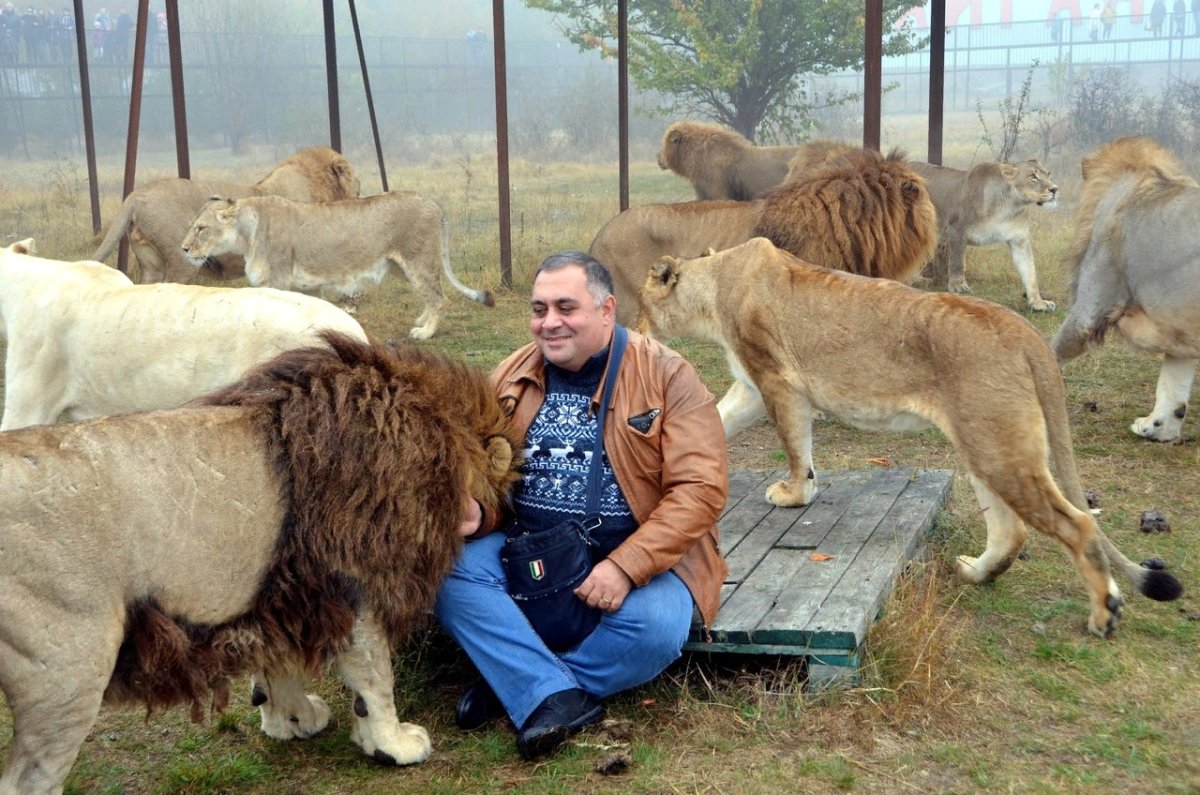 Сафари-парк «Тайган» (74 км от Феодосии)