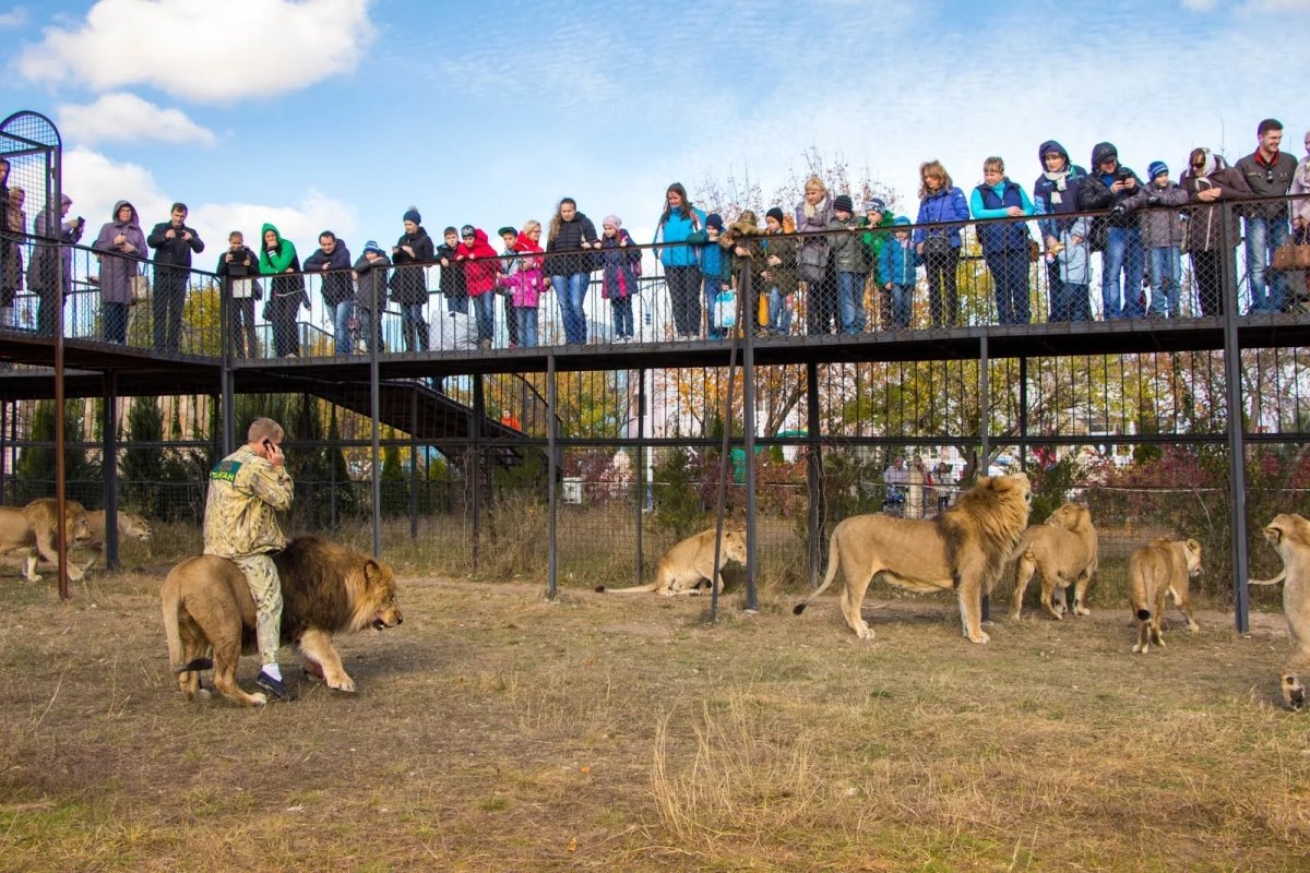 Зубков Олег Алексеевич парк Тайган